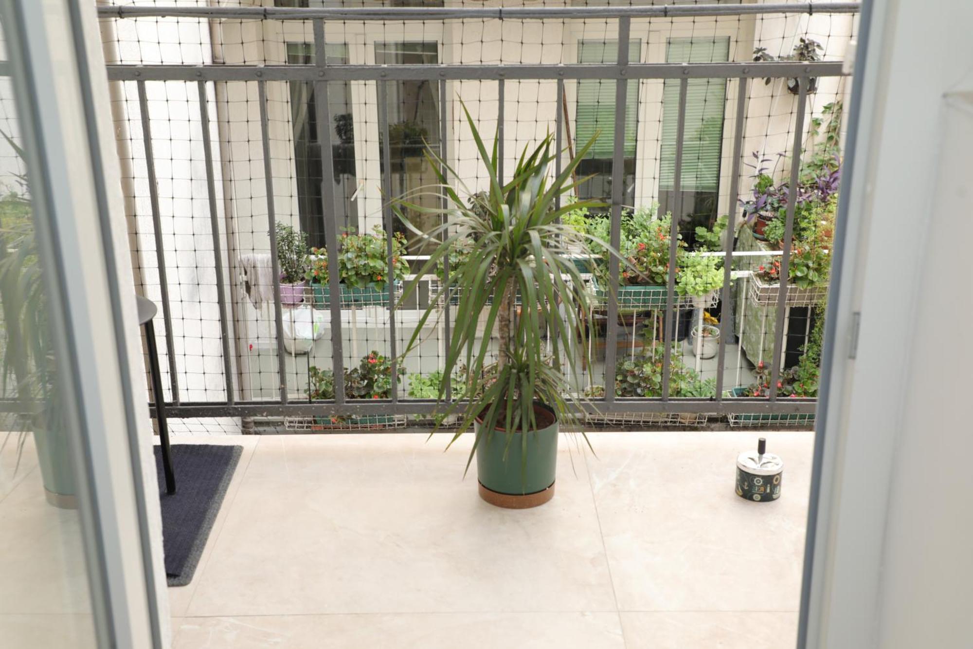 בלגרד Maison Danube מראה חיצוני תמונה